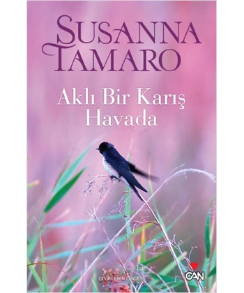 Aklı Bir Karış Havada