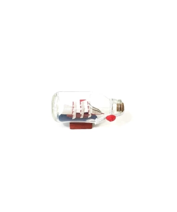 Mini Cam Gemi 6 cm