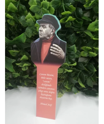 Ahmet Arif Ayraç-Fark