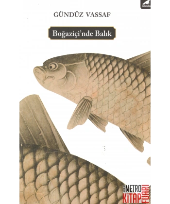 Boğaziçi’nde Balık