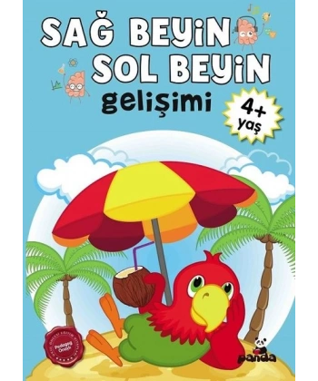 4 Yaş Sağ Beyin - Sol Beyin Gelişimi