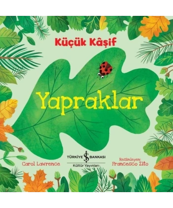 Küçük Kaşif-Yapraklar