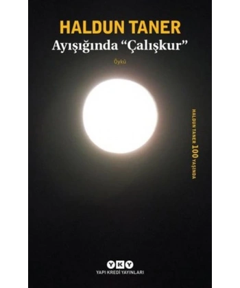 Ayışığında Çalışkur