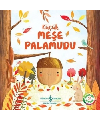 Küçük Meşe Palamudu