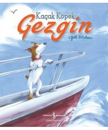Kaçak Köpek Gezgin