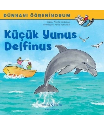 Küçük Yunus Delfinus