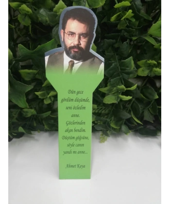 Ahmet Kaya Ayraç-Fark