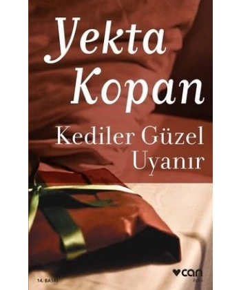 Kediler Güzel Uyanır