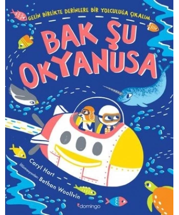Bak Şu Okyanusa