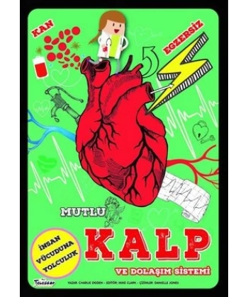 Mutlu Kalp Ve Dolaşim Sistemi