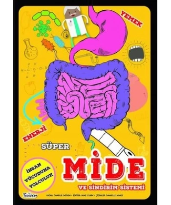 Süper Mide Ve Sindirim Sistemi