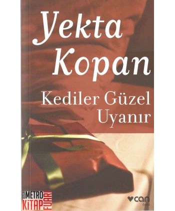 Kediler Güzel Uyanır
