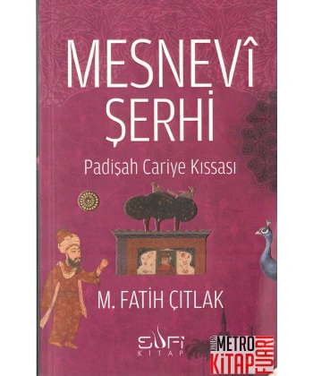 Mesnevi Şerhi