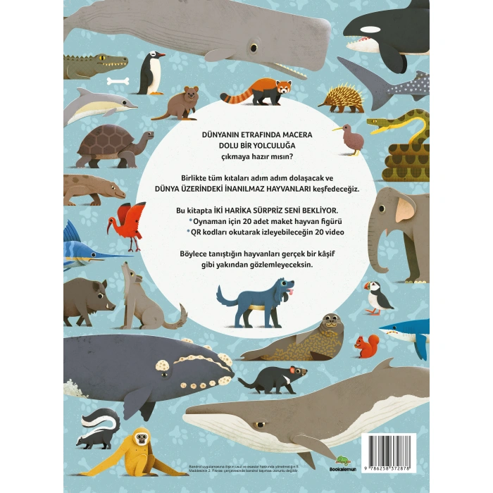 İlk Hayvan Atlasım - Citli