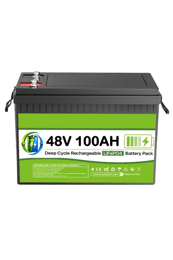 48 Volt 100 Ah LiFEPO4 Akü