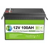 12 Volt 100 Ah LiFEPO4 Akü