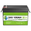 24 Volt 100 Ah LiFEPO4 Akü