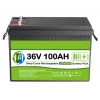 36 Volt 100 Ah LiFEPO4 Akü