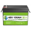 48 Volt 100 Ah LiFEPO4 Akü
