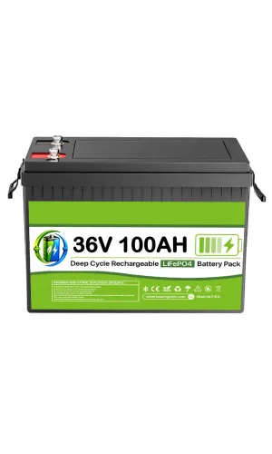 36 Volt 100 Ah LiFEPO4 Akü