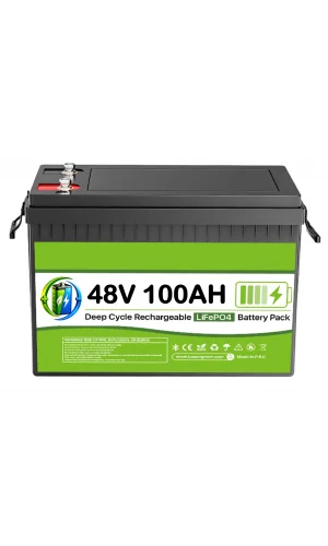 48 Volt 100 Ah LiFEPO4 Akü