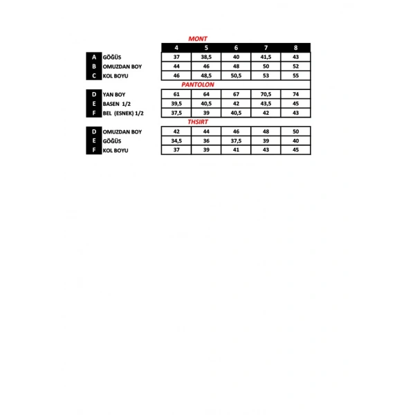 4-8 Yaş Erkek Çocuk 3’lü Takım Kapitone Ceket Tişört ve 3 İplik Eşofman Altı