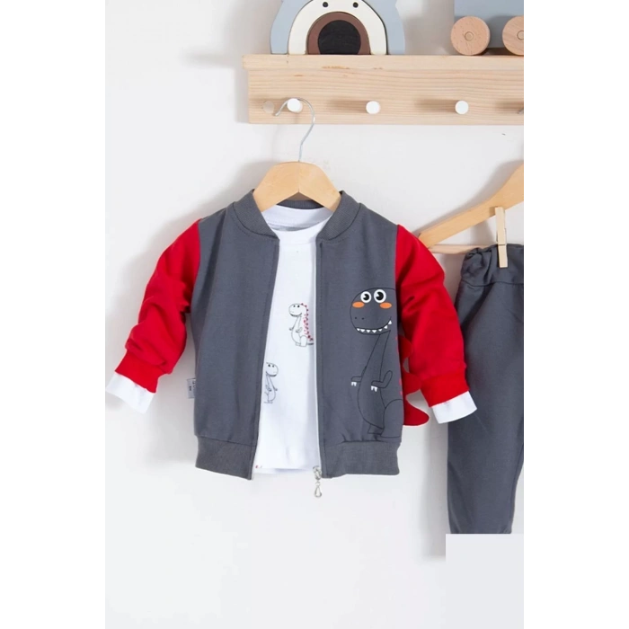 Eterelle Dinazor Desenli Hırkalı 3lü Erkek Bebek Takım