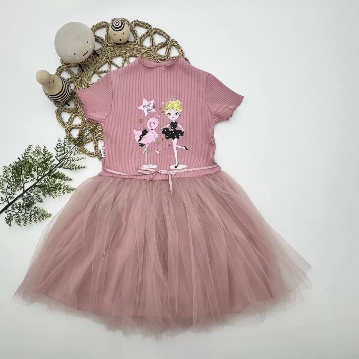 Eterelle 5-6-7 Yaş Flamingo Balerin Kız Baskılı Kurdela Kuşaklı Astarlı Kız Çocuk Tütü Elbise Gül Kurusu