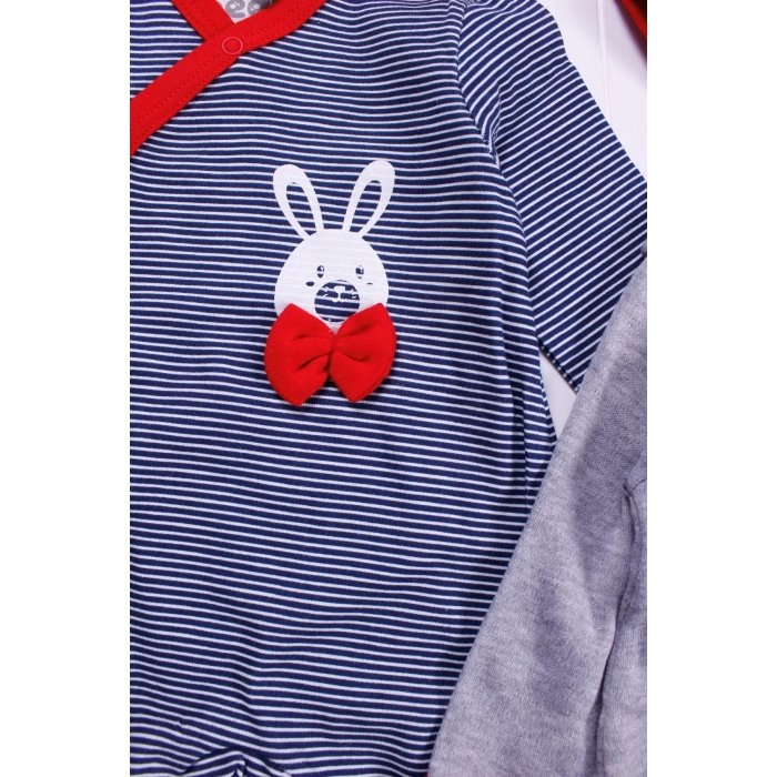 Eterelle Love Desenli Erkek Bebek 4lü Tulum Seti