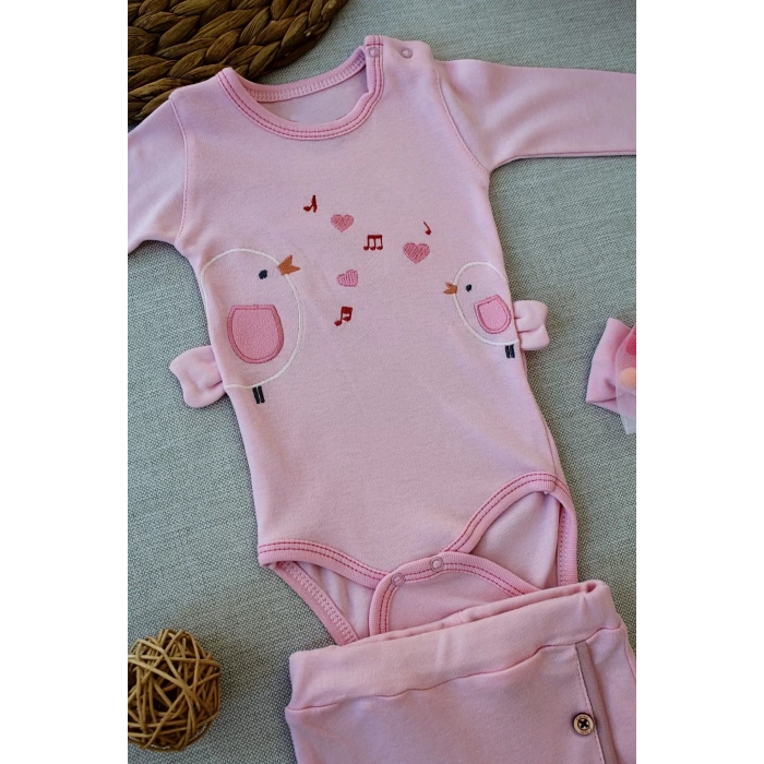 Eterelle 3-6 6-9 9-12 Ay Şarkıcı Kuşlar Nakışlı Bandanalı Uzun Kollu Zıbınlı 3lü Kız Bebek Takımı Pembe