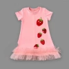 Eterelle 1-2-3 Yaş Payetli Çilekler Nakışlı Eteği Fırfırlı Jile Kız Çocuk Elbisesi Gül Kurusu