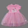 Eterelle 1-2-3 Yaş Tül Fiyonk Çiçekler Nakışlı Astarlı Kız Bebek Tütü Elbisesi Pembe