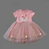 Eterelle 1-2-3 Yaş Tül Fiyonk Çiçekler Nakışlı Astarlı Kız Bebek Tütü Elbisesi Pudra