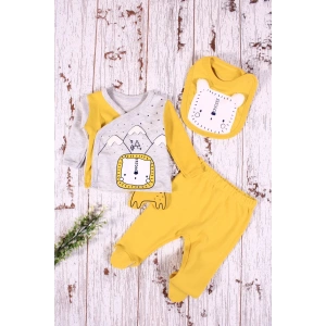 Eterelle Aslan Figürlü 3lü Erkek Hastane Çıkışı