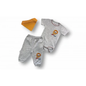 Eterelle 3-6 6-9 9-12 Ay Yavru Aslan Nakışlı Bandajlı Kısa Kollu Zıbınlı 3lü Erkek Bebek Takımı Gri