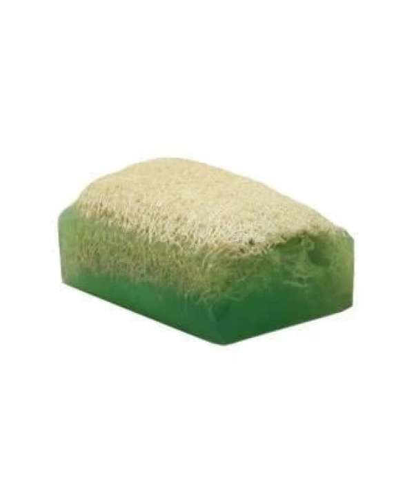 Çay Ağacı Kabak Lifli Sabun