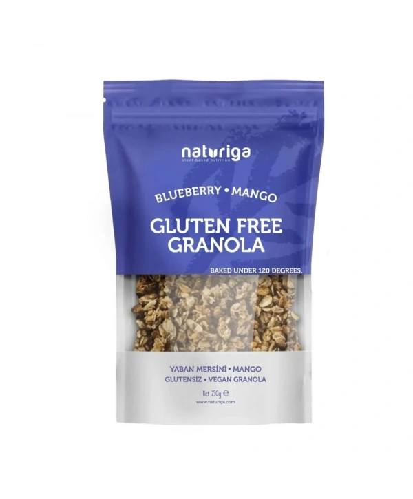 Glutensiz Yaban mersini & Mango Granola(250 gr)
