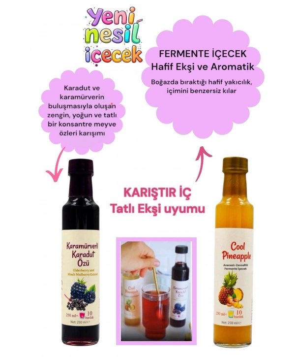 Serin Yaz Ikilisi Cool Pineapple & Karamürverli Karadut Özü (Eşit oranda karıştır şeker ilavesiz)