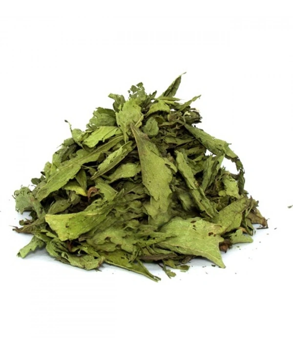 Stevia (Şeker Otu)