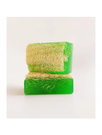 Aloe Vera Kabak Lifli Sabun
