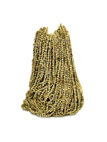 Çiçek Bamya Kurusu