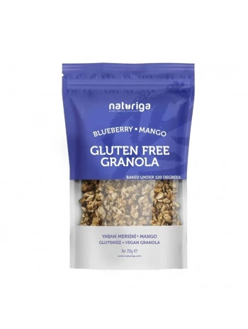 Glutensiz Yaban mersini & Mango Granola(250 gr)