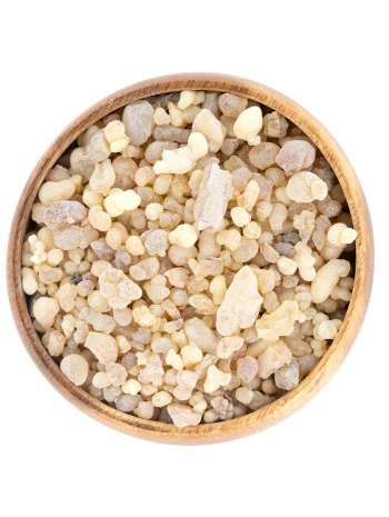 Günlük Sakızı (Akgünlük)