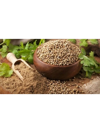 Kişniş Toz (Kendi Çekimimiz)