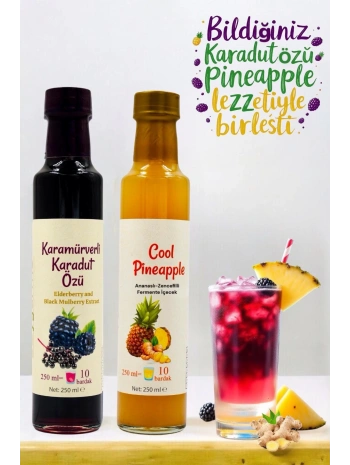 Serin Yaz Ikilisi Cool Pineapple & Karamürverli Karadut Özü (Eşit oranda karıştır şeker ilavesiz)