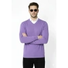 Erkek V Yaka Triko Kazak yumuşak dokulu Pamuklu ince Dokuma, uzun kollu Rahat Regular kalıp - Mor