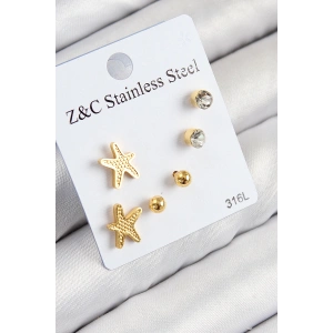 316L Çelik Zirkon Taşlı Deniz Yıldızı Model Gümüş Renk Kadın Set Küpe