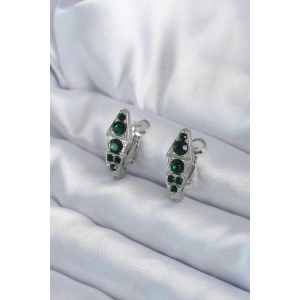 316L Çelik Gümüş Renk Yeşil Kristal Taş İşleme Yılan Model Kadın Küpe