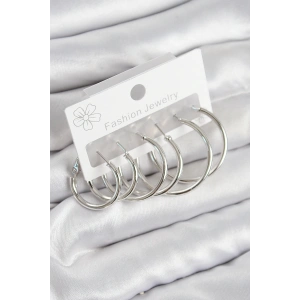 Pirinç Halka Model Gümüş Renk Kadın Set Küpe