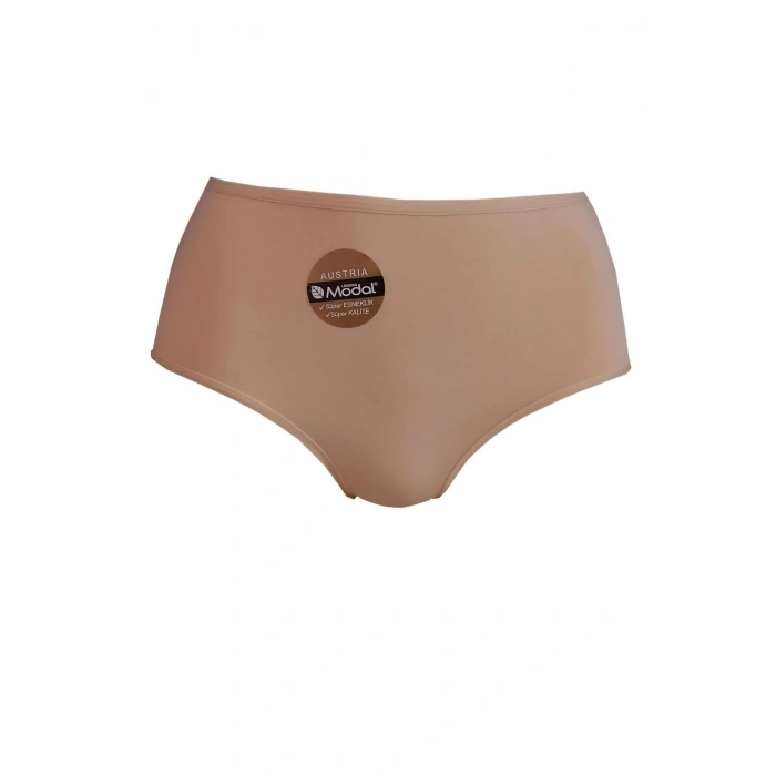 2467 YÜKSEK BEL MODAL SLIP HELENA PARİS KADIN